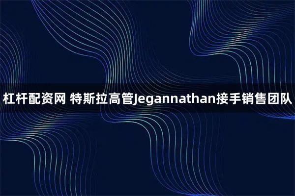 杠杆配资网 特斯拉高管Jegannathan接手销售团队