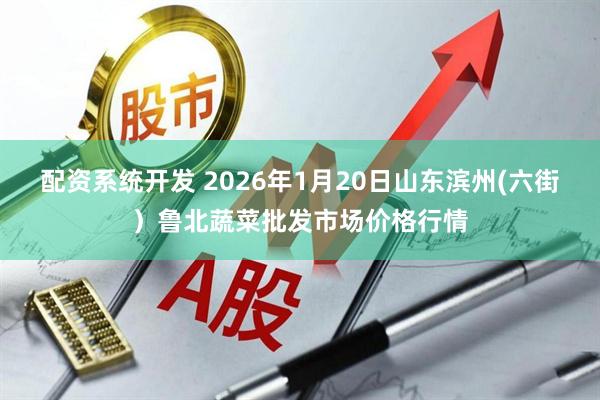 配资系统开发 2026年1月20日山东滨州(六街）鲁北蔬菜批发市场价格行情