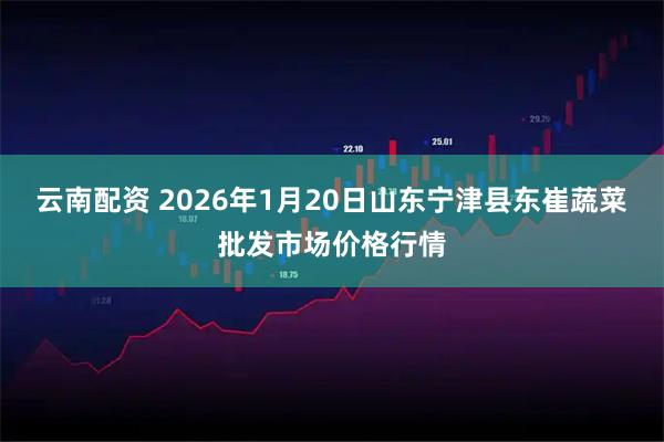 云南配资 2026年1月20日山东宁津县东崔蔬菜批发市场价格行情