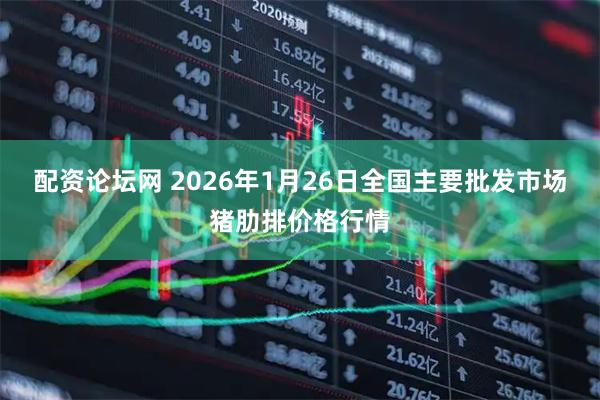 配资论坛网 2026年1月26日全国主要批发市场猪肋排价格行情