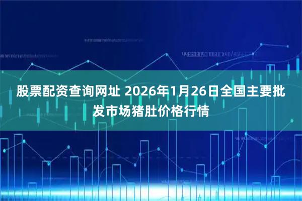 股票配资查询网址 2026年1月26日全国主要批发市场猪肚价格行情